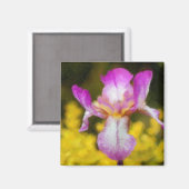 Aimant Iris (Recto/Verso)