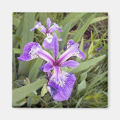 Aimant Iris 2 violet (Devant)
