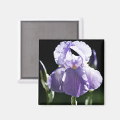 Aimant Iris 8393 Violet (Recto/Verso)