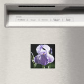 Aimant Iris 8393 Violet (In Situ (Lave-vaisselle))