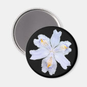 Aimant Iris blanc (Recto/Verso)
