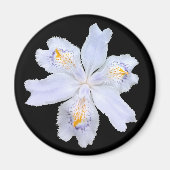 Aimant Iris blanc (Devant)