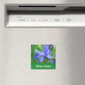 Aimant iris bleus et feuilles vertes (In Situ (Lave-vaisselle))