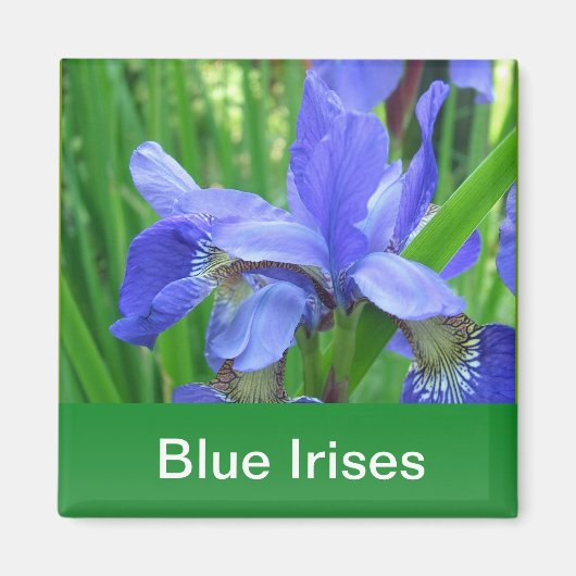 Aimant iris bleus et feuilles vertes (Devant)