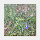 Aimant Iris Day (Devant)