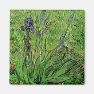 Aimant Iris de Vincent van Gogh, fleurs de jardin vintage
