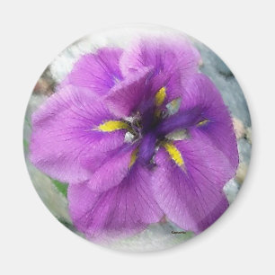 Aimant Iris d'eau I