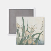 Aimant Iris Flowers and Grasshopper, c.1830-31 (Recto/Verso)