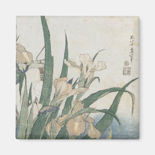 Aimant Iris Flowers and Grasshopper, c.1830-31 (Devant)