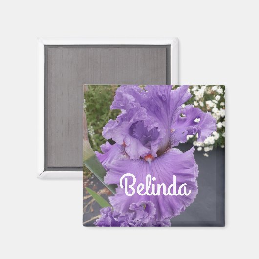 Aimant Iris Iris Lavande Florale Fleur Violet  (Recto/Verso)