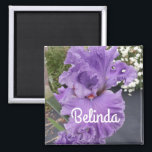 Aimant Iris Iris Lavande Florale Fleur Violet<br><div class="desc">Iris Irises fleurs violettes design,  avec un nom entièrement personnalisable. Conçu à partir d'une de mes photos de jardin fleuri originale et de mon écriture originale,  profitez!</div>