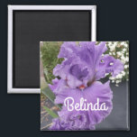 Aimant Iris Iris Lavande Florale Fleur Violet<br><div class="desc">Iris Irises fleurs violettes design,  avec un nom entièrement personnalisable. Conçu à partir d'une de mes photos de jardin fleuri originale et de mon écriture originale,  profitez!</div>