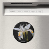 Aimant Iris Japonica en vedette (In Situ (Lave-vaisselle))