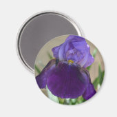 Aimant Iris pourpre (Recto/Verso)