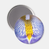 Aimant Iris pourpre (Recto/Verso)