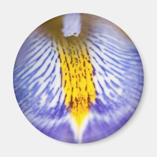Aimant Iris pourpre