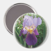 Aimant Iris pourpre (Recto/Verso)