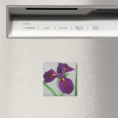 Aimant Iris pourpre (In Situ (Lave-vaisselle))
