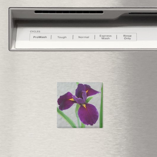 Aimant Iris pourpre (In Situ (Lave-vaisselle))