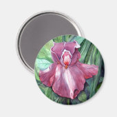 Aimant Iris rose (Recto/Verso)
