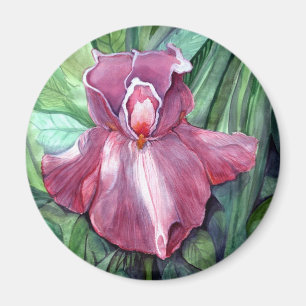 Aimant Iris rose