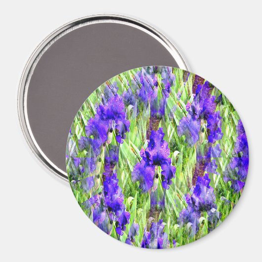 Aimant Iris Twirl..... (Recto/Verso)