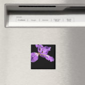 Aimant Iris violet (In Situ (Lave-vaisselle))