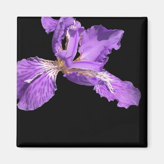 Aimant Iris violet (Devant)