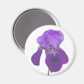 Aimant Iris Violet (Recto/Verso)