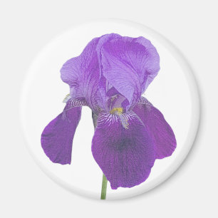 Aimant Iris Violet
