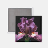 Aimant Iris Violet Frappe (Recto/Verso)