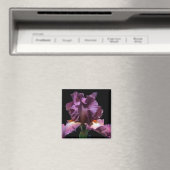 Aimant Iris Violet Frappe (In Situ (Lave-vaisselle))