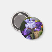 Aimant Iris Violet Haut Porté (Recto/Verso)