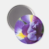 Aimant iris violet près (Recto/Verso)