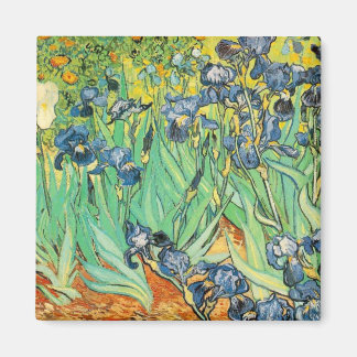 Aimant Irises