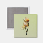 Aimant Irises colorées (Recto/Verso)