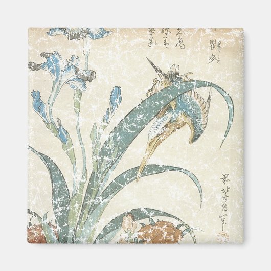 Aimant Irises et Kingfisher (Devant)