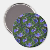 Aimant Irises flottants....... (Recto/Verso)