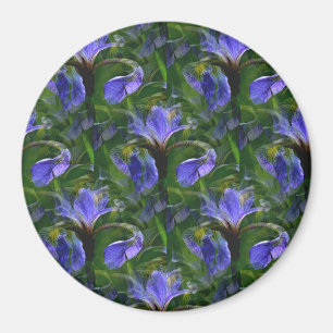Aimant Irises flottants.......