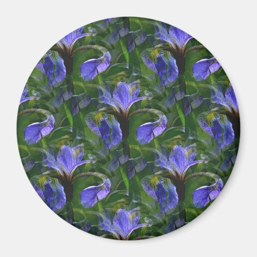 Aimant Irises flottants....... (Devant)