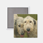 Aimant Irish Wolfhound (Recto/Verso)