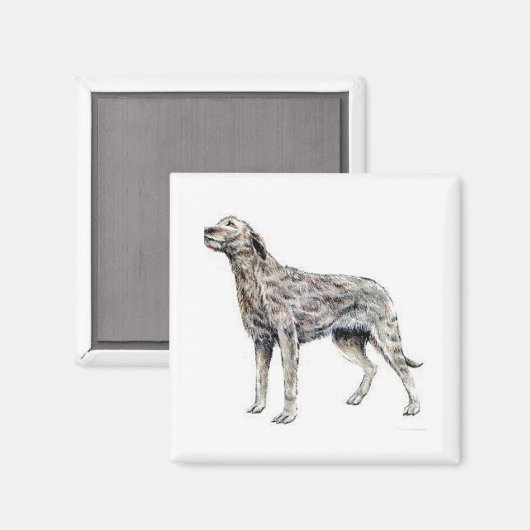 Aimant Irish Wolfhound (Recto/Verso)