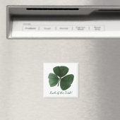 Aimant irlandais (In Situ (Lave-vaisselle))