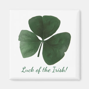 Aimant irlandais