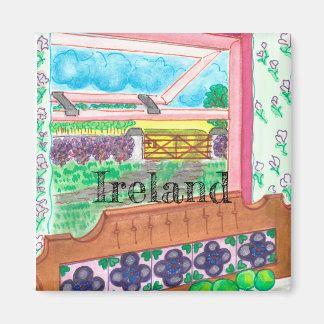Aimant Irlande