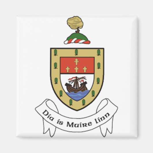Aimant Irlande Comté de Mayo (Devant)