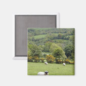 Aimant Irlande de l'Ouest, péninsule de Dingle, large (Recto/Verso)