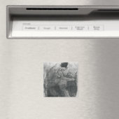 Aimant Isadora Duncan (In Situ (Lave-vaisselle))