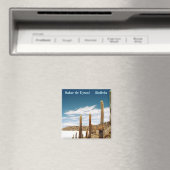 Aimant Isla del Pescado, Salar de Uyuni, Bolivie (In Situ (Lave-vaisselle))