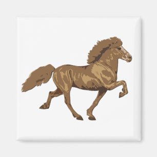 Aimant Islandais Vintage des années 1930